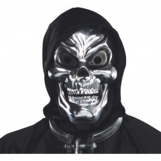 Silver 3D Skull Mask Adult Size