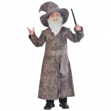 Wise Wizard Boy's Costume 5-6 Years