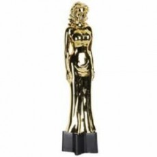Hollywood Awards Night Female Statuette Trophy 22cm