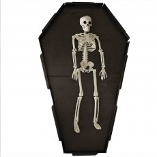 Halloween Black Coffin Deadly Soiree Grazing Board Platter 35cm x 55cm