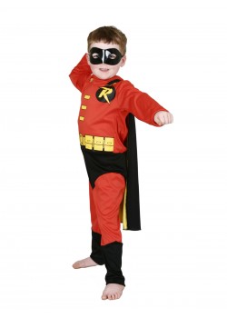 Robin DC Comics Child Costume