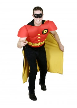 Robin DC Comics TV Adult Costume Robin DC Comics TV Adult Costume