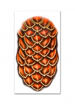 Dragon Mythical Scales Large Tattoo Kit - Accessory Dragon Mythical Scales Large Tattoo Kit - Accessory