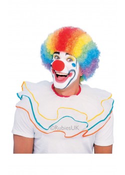 Clown Circus Rainbow Adult Wig - Accessory