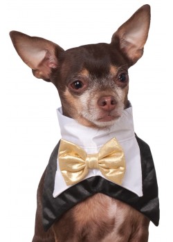 Tuxedo Bandana Pet Costume Halloween Tuxedo Bandana Pet Costume Halloween
