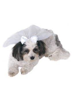 Wedding Veil Pet Halloween Wedding Veil Pet Halloween