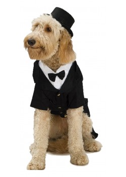 Top Hat Pet Halloween Top Hat Pet Halloween