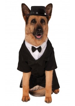 Dapper Dog Big Dog Pet Costume Halloween Dapper Dog Big Dog Pet Costume Halloween