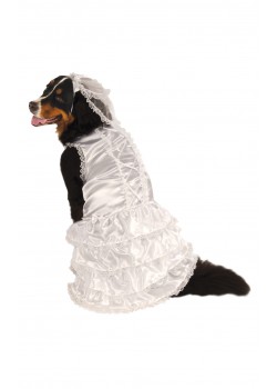 Bride Halloween Big Dog Pet Costume Bride Halloween Big Dog Pet Costume