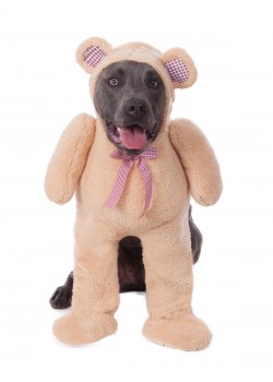 Walking Teddy Bear Animals Big Dogs Pet Costume Walking Teddy Bear Animals Big Dogs Pet Costume