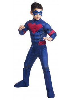 Nightwing DC Comics Deluxe Child Costume