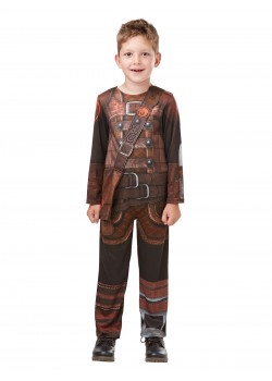 Hiccup How to Train Your Dragon Classic Boy Child Costume