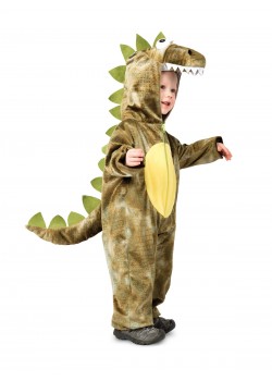 Roarin' Rex Dinosaur Animals Child Costume