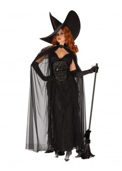 Elegant Witch Adult Costume