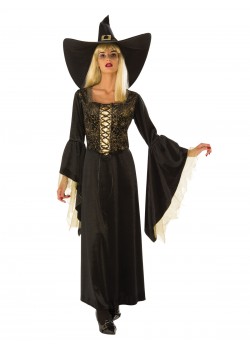 Golden Web Witch Adult Costume
