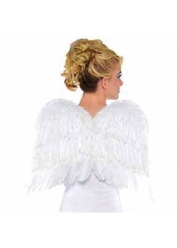 White Feather Wings 40.6cm x 55.8cm