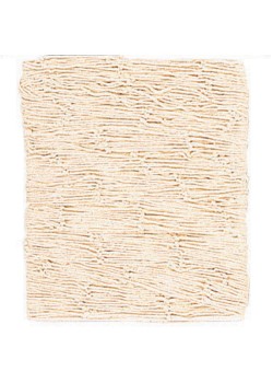 Hawaiian Luau Natural Fish Net