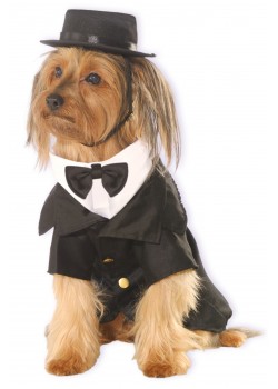 Dapper Dog Pet Costume Halloween Dapper Dog Pet Costume Halloween