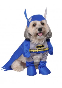 Batman Brave And Bold Pet Costume