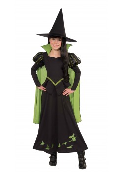 Wicked Witch Of The West Wizard of Oz Deluxe Child Costume