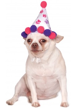 Paw Print Girl Pet Birthday Hat Accessory Paw Print Girl Pet Birthday Hat Accessory