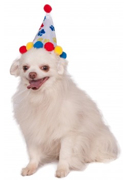 Paw Print Boy Pet Birthday Hat Accessory Paw Print Boy Pet Birthday Hat Accessory