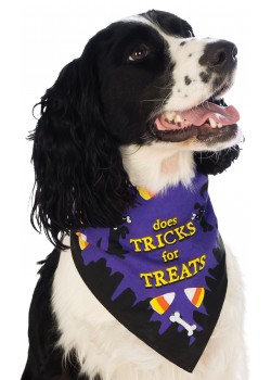 Pet Bandana Does Tricks For Treats Halloween