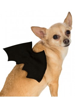 Bat Halloween Wings Pet Accessory Bat Halloween Wings Pet Accessory