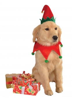 Elf Hat With Bell And Collar Pet Christmas