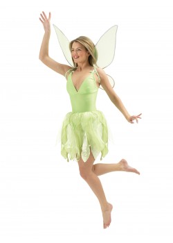 Tinker Bell Disney Fairies Deluxe Female Adult Costume