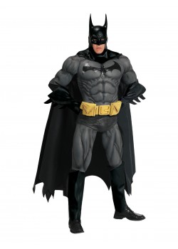 Batman Collector's Edition Adult Costume