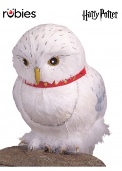 Hedwig The Owl Prop Harry Potter Hedwig The Owl Prop Harry Potter