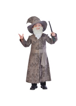 Wise Wizard Boy's Costume 5-6 Years