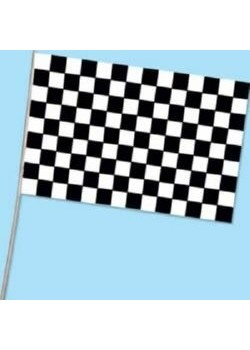 Black & White Checkered Flag 28cm x 43cm