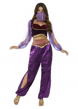 Arabian Princess Costume Arabian Princess Costume
