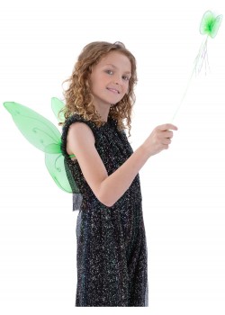 Butterfly Wings & Wand Set for Child Butterfly Wings & Wand Set for Child