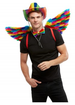 Rainbow Feather Wings for Adult Rainbow Feather Wings for Adult