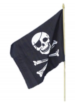 Pirate Flag Accessory Pirate Flag Accessory