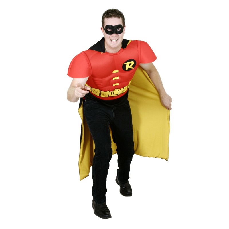 Robin DC Comics TV Adult Costume