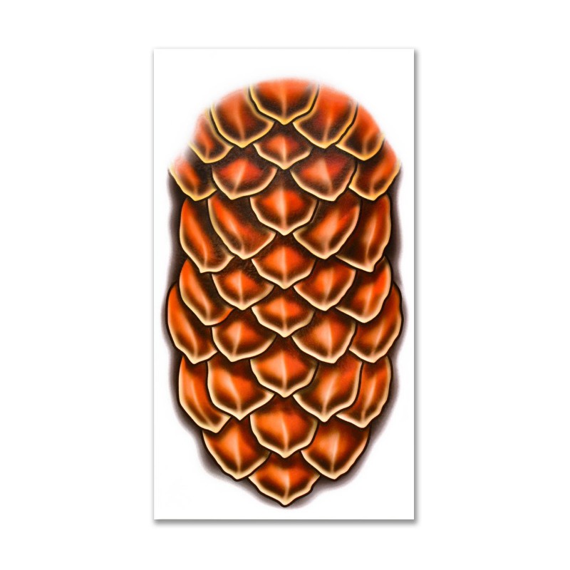 Dragon Mythical Scales Large Tattoo Kit - Accessory