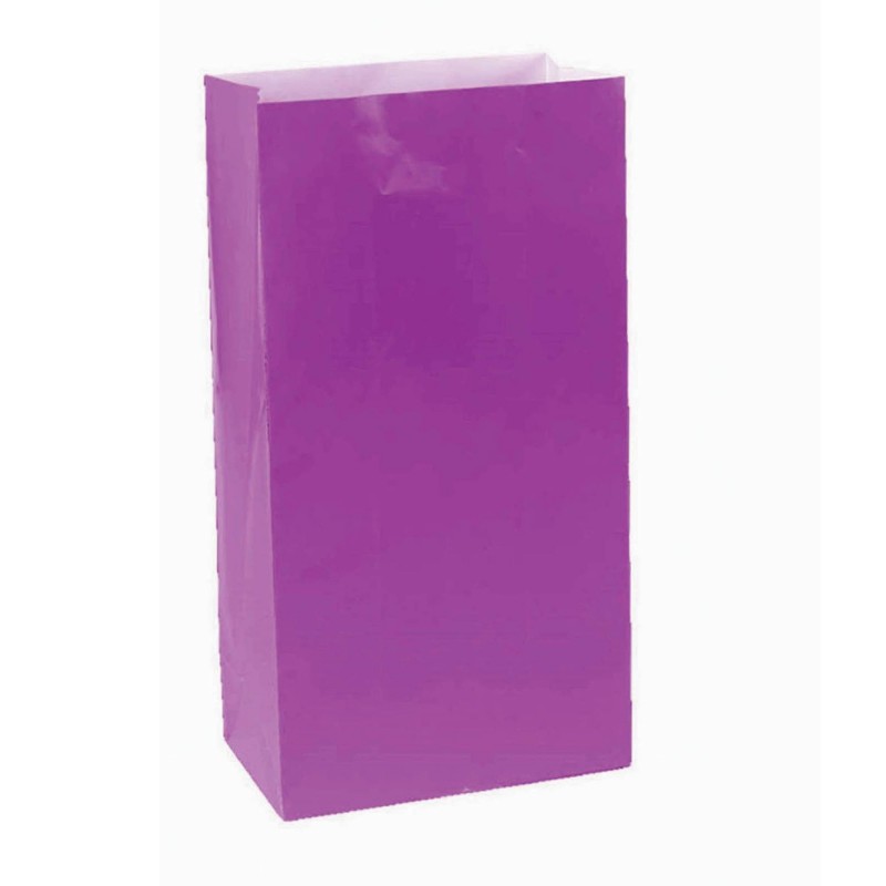 New Purple Treat Favour Bags 25cm x 13cm 12 pk - NFS Party
