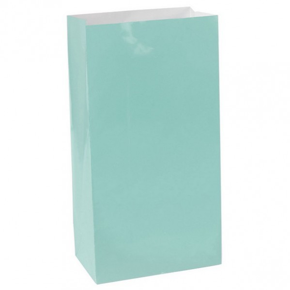 Robin's Egg Blue Large Treat Favour Bags 25cm x 13cm 12 pk - NFS Party