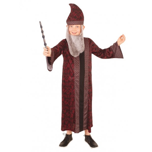 Professor Dumbledore Harry Potter Child Robe