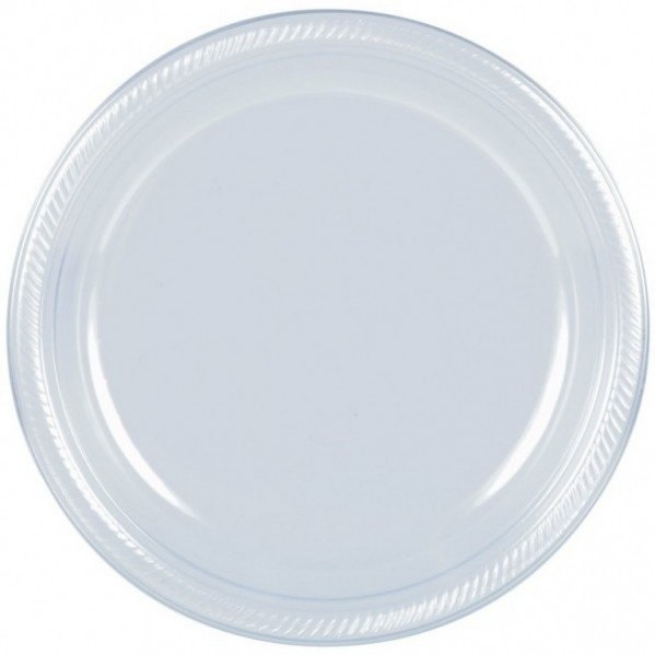 Lunch Plates Plastic Party Supplies  - NOT FOR SALE SINGLE USE PLASTIC