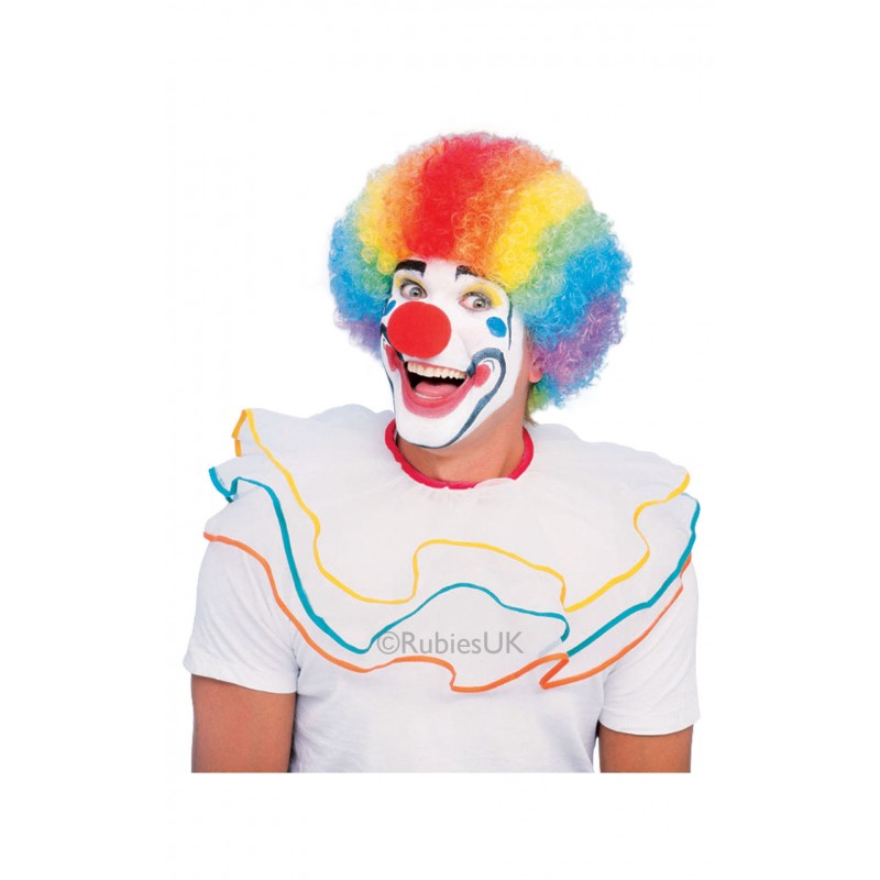 Clown Circus Rainbow Adult Wig - Accessory