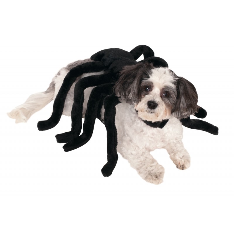 Spider Halloween Harness Pet Costume