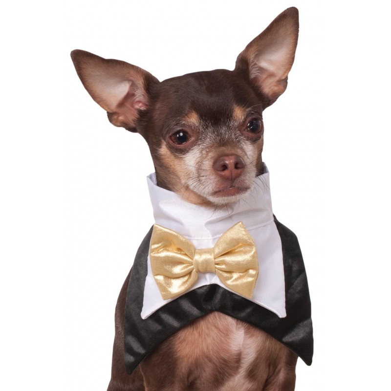 Tuxedo Bandana Pet Costume Halloween