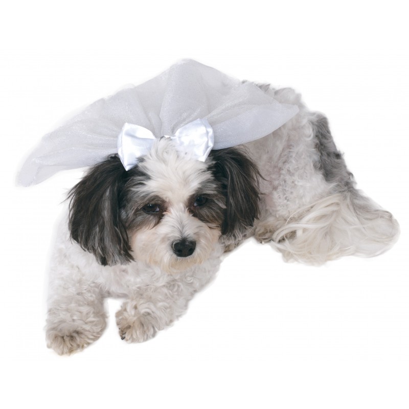 Wedding Veil Pet Halloween