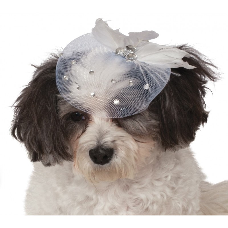 Fancy Formal Hat Pet Halloween