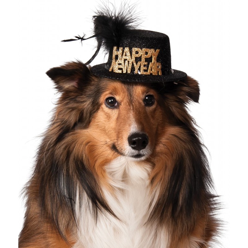Happy New Year Pet Hat